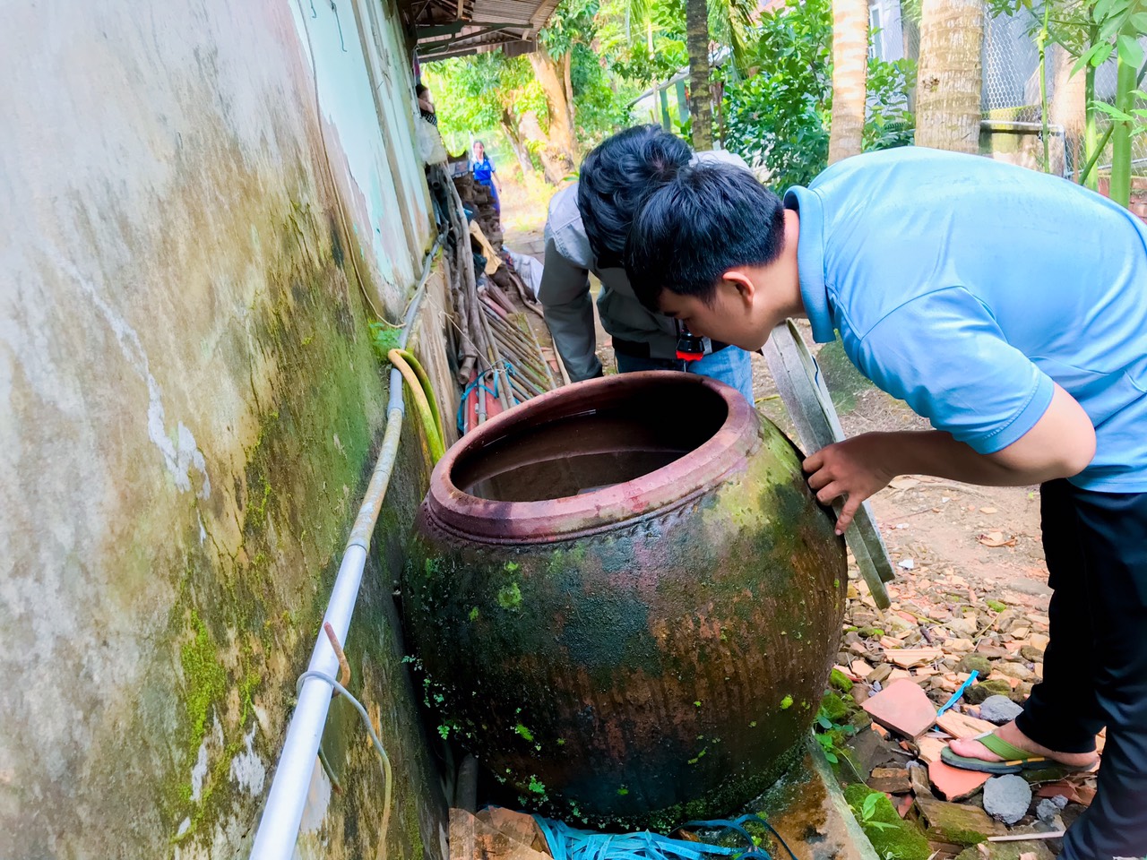 Y tế