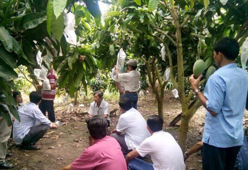 Hiệu quả các hình thức kinh tế tập thể 