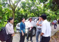 Nông nghiệp Tấn Mỹ có nhiều khởi sắc 